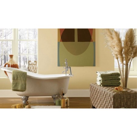 Peinture à l'argile 2,5 L