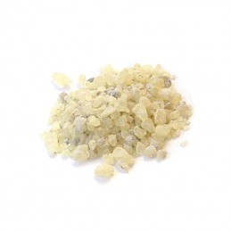 Gomme damar (grains)