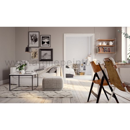 Peinture à l'argile 5 L