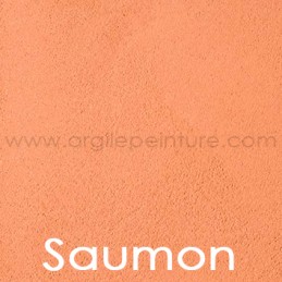 Enduit à l'argile: Saumon