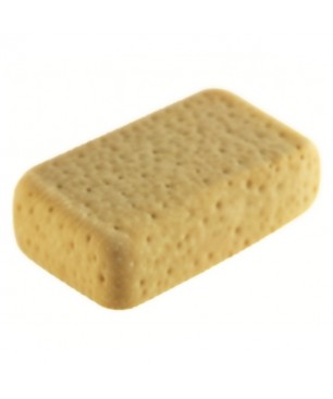 Eponge ronde