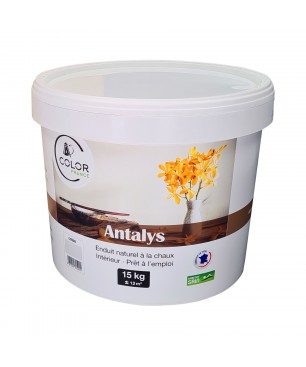 Antalys - Enduit fin en pâte