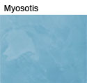 Badistuc teinte:myosotis