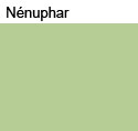 Peinture végétale, couleur: Nenuphar