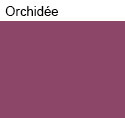 Peinture végétale, couleur: Orchidée